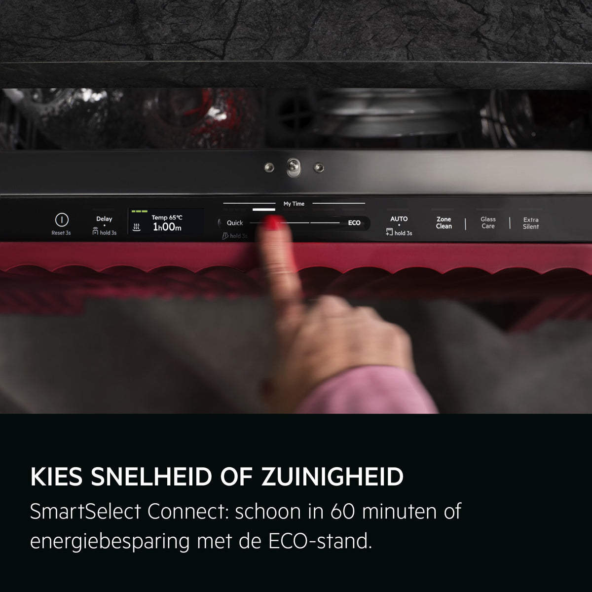 AEG GI82LEIPZIG Volledig ingebouwd 14 couverts