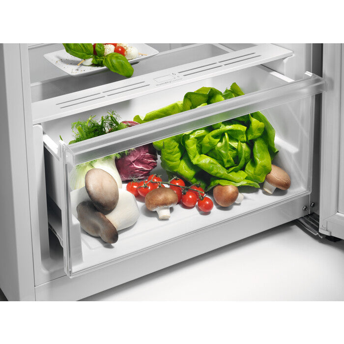 AEG RKB333E2DX koelkast Vrijstaand 309 l Zilver